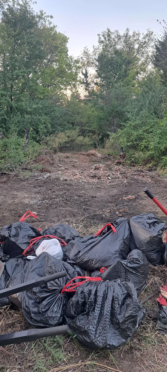 Cleanup work at the garden site