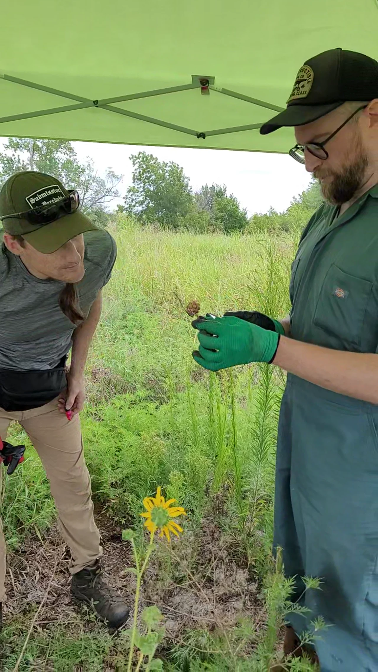 Volunteers examining plants at the Flat Rock garden