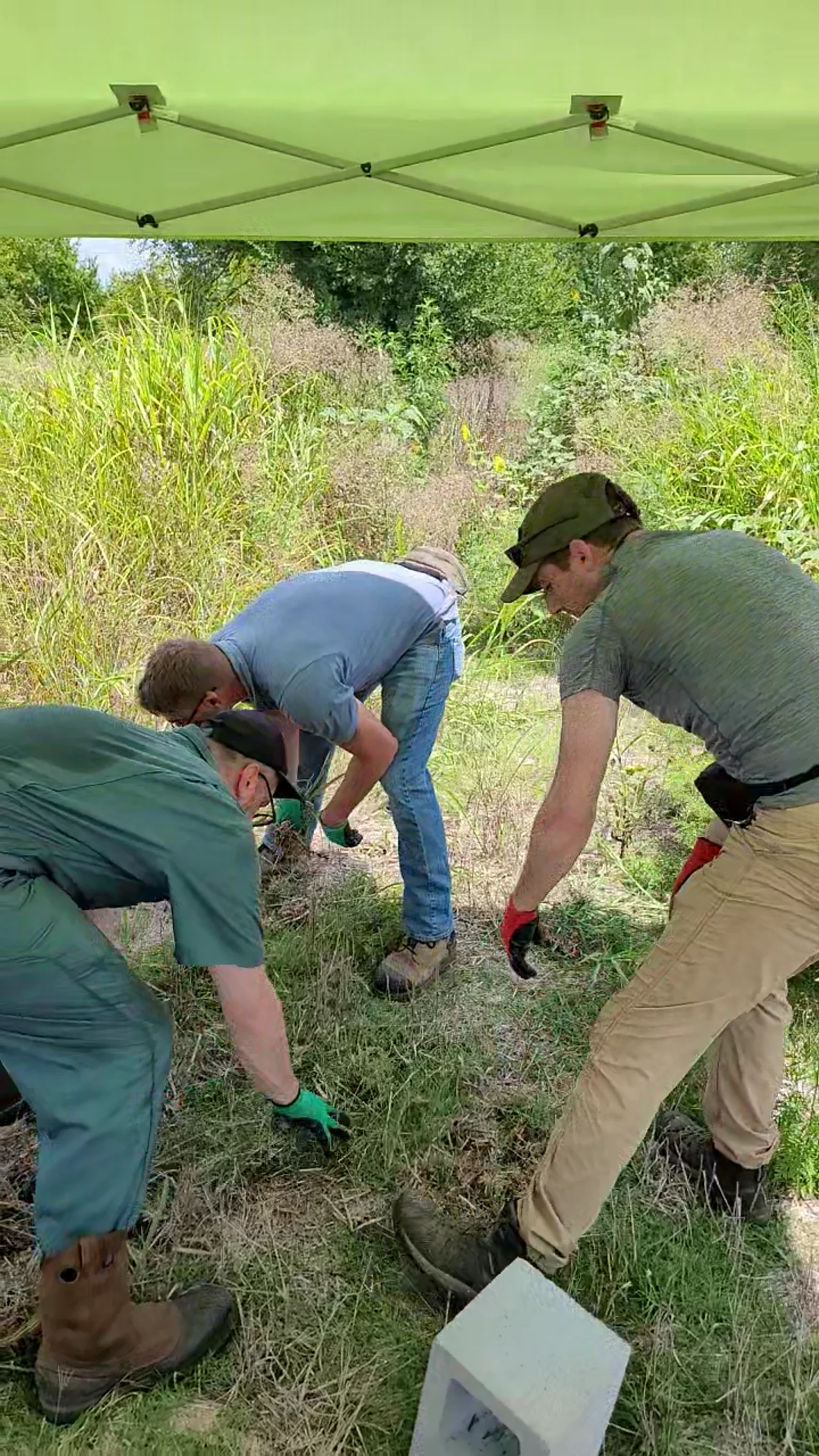 Three volunteers digging at the garden