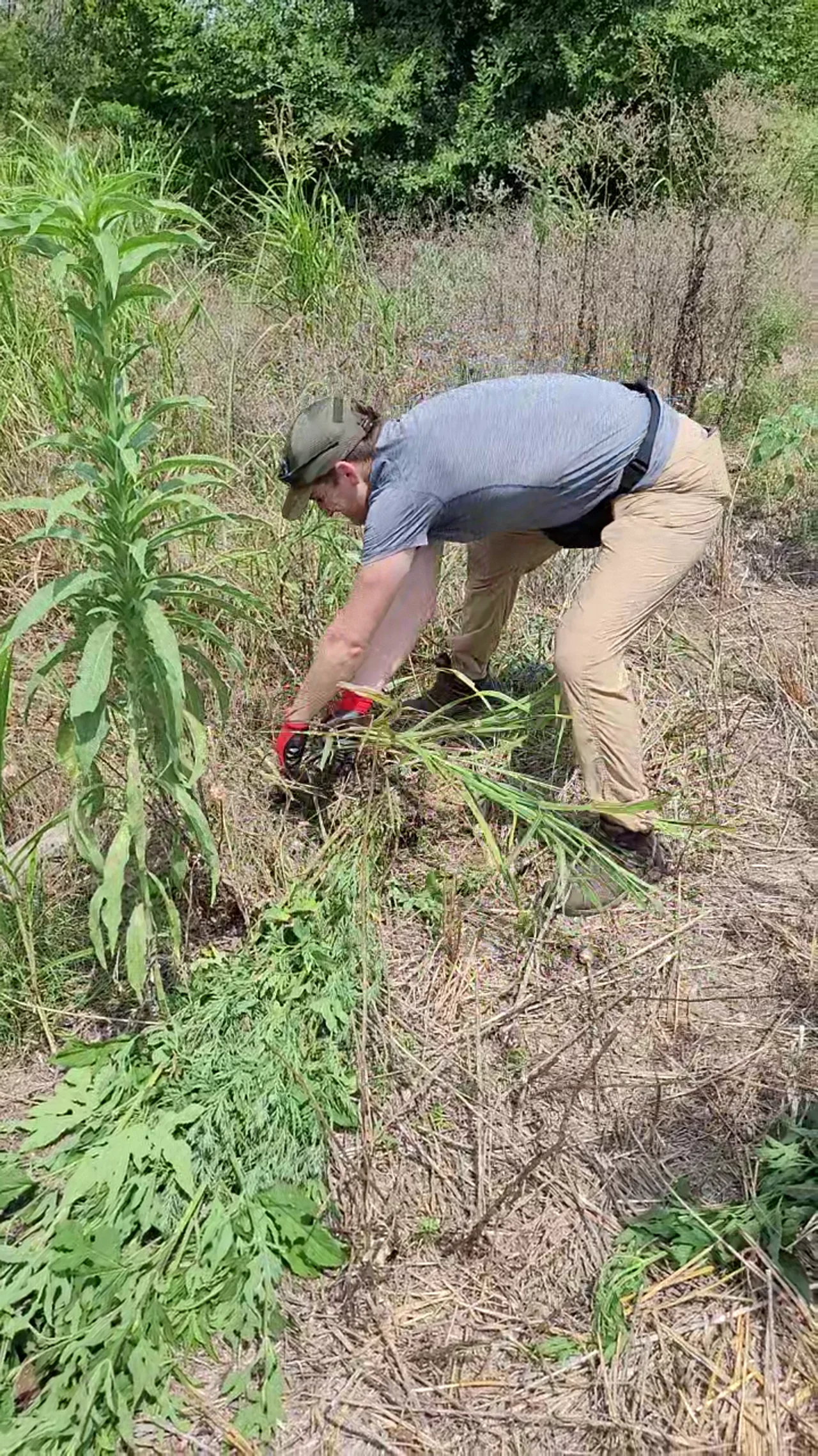 Volunteer clearing brush at the garden site